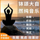 休闲音乐 音疗冥想助眠音频颂钵疗愈情绪治疗阿尔法脑波瑜伽纯养生背景音乐 音疗冥想助眠音频U盘（全集版）