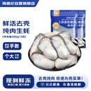 海鼎纪冷冻生蚝肉800g (400g*2)  牡蛎肉 火锅烧烤食材海鲜生鲜
