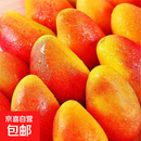 海南贵妃芒新鲜芒果应当季水果红金龙辣椒芒甜心芒大果整箱 带箱2斤净重1.6斤 单果80g+