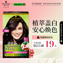 施华蔻（Schwarzkopf）怡然染发霜4.0/9自然棕色 染发剂染发膏自己染男女盖白发热门商品