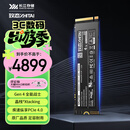 致态（ZhiTai）长江存储 4TB SSD固态硬盘 NVMe M.2接口 TiPlus7100系列
