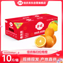 佳农秭归伦晚橙 净重10斤装 单果200g起 生鲜水果橙子礼盒 源头直发