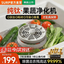 苏泊尓（SUPUR）同款果蔬净化机食材净化器水果蔬菜肉类谷物多功能清洗杀菌去农残洗菜机清洗神器 【活力款】纯钛电解片丨涡流净化