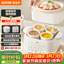 苏泊尔（SUPOR）电炖盅电炖锅隔水炖家用全自动煲汤炖汤锅陶瓷燕窝炖盅4.5L蒸炖一体多功能锅3-4人 DZ25FC873