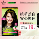 施华蔻（Schwarzkopf）怡然染发霜3.0/9羊绒脂深棕 染发剂染发膏黑茶色男女盖白热门商品