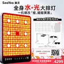 SEAYEO昔又大排灯Max光子嫩肤美容仪红蓝光面罩面膜仪家用美容仪器 Max