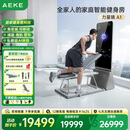 AEKE力量镜  AI智能综合力量站家用多功能健身器材全身运动训练器械 A1力量镜 套装版灰