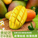 海南贵妃芒新鲜芒果水果当季树上熟甜心芒大果香甜生鲜 贵妃芒带箱5斤110克+净重4.5斤
