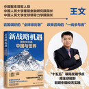 新战略机遇：迈向2035的中国与世界 王文 中国人民大学出版社 战略机遇“十五五”规划，李肇星 王缉思 郑永年 金灿荣 苏长和 等重磅推荐