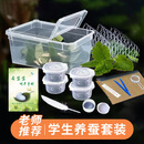 乐哲（letrel）儿童手工玩具蚕宝宝蚕卵学生养蚕套装爬宠饲养盒爬宠科学实验套装