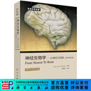 神经生物学：从神经元到脑（原书第5版） [From Neuron to Brain] 科学出版社