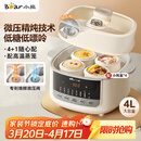 小熊（Bear）电炖锅 炖盅 隔水炖锅炖汤盅煲汤锅 燕窝炖盅婴儿煮粥 电炖盅4.1L家用3-4人微压电炖锅DDZ-J25G2