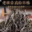 茗冠忠品2022年春茶 老班章高龄单株古树散茶 牛茶 云南古树散装茶 普洱茶 500克