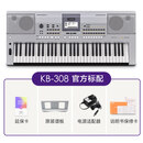 RCKQ电子琴kb308入门61键成年中老年人专用儿童初学 3键