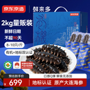 京东京造鲜来多大连有机鲜食海参2kg 32-40只量贩装 冷冻即食海参礼盒