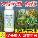 奥潍2%苄氨烷醇正品促长膨大剂二元复配苄氨基嘌呤大田小麦增产调节剂 500克*20瓶