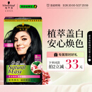 施华蔻（Schwarzkopf）怡然染发霜2.0/9闪亮珍珠黑 染发剂黑色一洗黑男女盖白 热门商品
