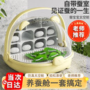 飞主流蚕宝宝蚕卵学生养蚕套装蚕宝宝饲养盒养蚕专用盒饲养盒爬虫饲养箱