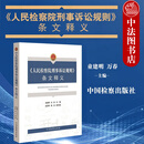正版 人民检察院刑事诉讼规则 条文释义 童建明 中国检察 监检办案程序 刑辩律师实务工具书 管辖回避辩护与代理证据案件受理立案侦查刑事诉讼法律监督