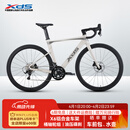 喜德盛公路自行车AD300油碟UCI车架2x10速中空一体牙盘桶轴破风车 白蛇 480mm（适合身高165-175cm）