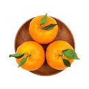 四川爆汁明日见柑 约950g（单果150g+）