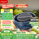 东菱（Donlim）转转果蔬清洗机食材净化机 洗菜机果蔬净化机 除菌去除农残 无线便携DL-1326静谧蓝