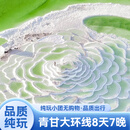 西北青海西宁旅游青甘大环线8天7晚 察尔汗盐湖青海湖茶卡黑独山水上雅丹 生命树 纯玩小团无购物 司机导游+舒适住宿+不含门票 【舒适住宿】8.19--8.29 成人