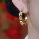 2026年新款耳环超闪咖色锆石耳圈轻奢高级感百搭耳环秋冬网红新款 镶钻猫眼石耳环一对【送精美礼盒】