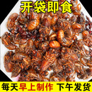 食在过瘾开袋即食 油炸金蝉知了猴椒盐麻辣新鲜金蚕蝉蛹爬叉虫子美食现做 100只孜然