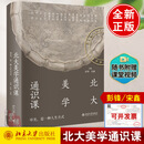 正版现货 北大美学通识课【随书附赠授课现场视频+文创书签】彭锋宋鑫讲给年轻人的北大人文课北京大学出版社