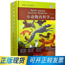 2026新版 小动物内科学 第6版第六版 9787565530692犬猫内科学 小动物内科学 陈艳云邱志钊 夏兆飞 译 中国农业大学出版社