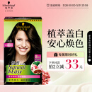 施华蔻（Schwarzkopf）怡然染发霜3.0/9羊绒脂深棕 染发剂染发膏黑茶色男女盖白热门商品