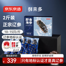 京东京造 鲜来多大连鲜食海参1kg 20-30只 固形物70%冷冻即食海参 礼盒