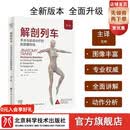 解剖列车 : 享补贴1件9折  手法与运动治疗的肌筋膜经线 : 第4版  新版  北京科学技术 解剖列车 : 手法与运动治疗的肌筋膜经线