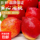 山东桃子脆甜水果油桃麻点油桃单果80-150克新鲜采摘产地直发 带箱3斤 净重2.6斤（约15-18 个）