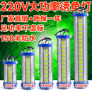 山海炮水下诱鱼灯集鱼灯船用大功率海钓吹筒鱿鱼带鱼led水下灯水底灯 220伏2000瓦白光 10米线长