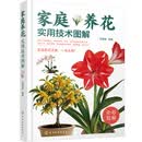 家庭养花实用技术图解   阳台养花从零到爆花 封闭阳台通风与灯养技巧 选种浇水施肥全图解 空盆逆袭养成计划 2026家庭园艺全流程实战指南 中国轻工业出版社 正版图书