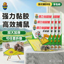 超威粘鼠板超强力粘板 10片 加厚大号灭鼠贴家商用黏鼠贴抓捉捕老鼠贴