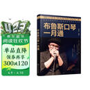 布鲁斯口琴一月通