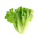 【农户直通车】生菜约500g