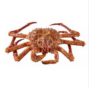 【预售】鲜活帝王蟹1.5-2kg/只