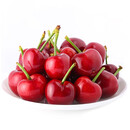 枝头熟大连美早大樱桃250g(单果10g起) 