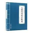 太极内功练法精要（太极拳练法精要丛书）