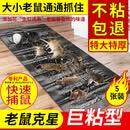 易控强力老鼠贴粘鼠板家用一窝端抓粘大老鼠胶正品灭鼠魔毯驱捕鼠神器 5张装 粘鼠魔毯