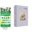中国绘画：元至清（豆瓣2025年度艺术·设计图书 “中国好书”4月书目，巫鸿“中国绘画”系列收官之作，重新理解中国绘画史）