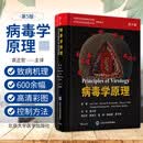病毒学原理 第5五版 袁正宏 主译 中国微生物学会病毒学专委会 中华医学会医学病毒学分会 推荐用书北京大学医学出版9787565930201 图书