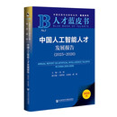 人才蓝皮书：中国人工智能人才发展报告（2025～2026）