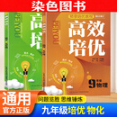 2024版高效培优七年级语文数学英语物理化学上下册全套通用版 789思维训练奥数教程同步题教材竞赛辅导资料练习训练题 九年级_物理+化学【新版】 初中通用