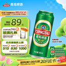 青岛啤酒（TsingTao）经典拉格 550ml*18听 加量不加价 整箱装踏春送礼