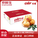 京鲜生 长城羊脂秋月梨 5斤装 大果6-8粒 单果300g+ 生鲜水果